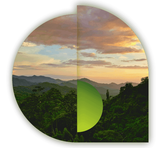 Pharmacol Cannabis Colombia