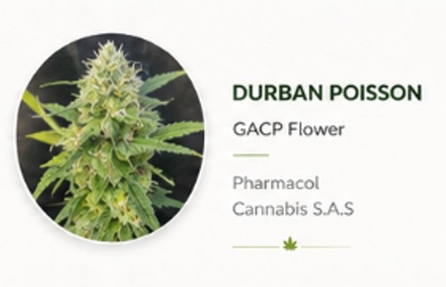 Durban Poisson Genetics Psychoactive Cannabis.jpg Dry Flower Durban Poisson Genetics Psychoactive Cannabis.jpg Dry Flower